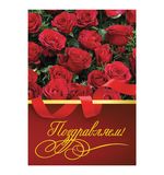 Папка адресная ламинированная "Поздравляем" (универсальная), формат А4, STAFF, 129585