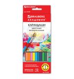 Карандаши цветные акварельные BRAUBERG "АКАДЕМИЯ", 12 цветов, шестигранные, высокое качество,191398