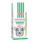 Карандаш чернографитный ПИФАГОР, 1 шт., НВ, пластиковый, корпус салатовый, с резинкой, 181445