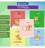 Тетрадь А5, 48 л., BRAUBERG, скоба, клетка, обложка картон, "Кот-Энтузиаст", 404365
