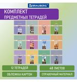Тетради предметные, КОМПЛЕКТ 12 ПРЕДМЕТОВ, "DELIGHT", 48 л., обложка картон, BRAUBERG, 404606