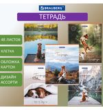 Тетрадь А5 48 л. BRAUBERG скоба, клетка, обложка картон, "Best Friends", 404360