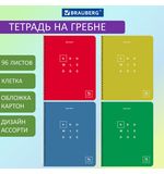 Тетрадь А5, 96 л., BRAUBERG, гребень, клетка, "Knowledge", 404421