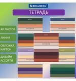 Тетрадь А5 48 л. BRAUBERG скоба, линия, обложка картон, "Classic", 404384