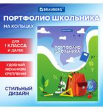Папка-портфолио школьника/дошкольника, А4, 4 кольца, обложка твёрдая, ДИЗАЙН 1,BRAUBE, 115241