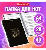 Папка-тетрадь для нот А4, 20 вкладышей на 40 страниц, на гребне, пластик, ЧЕРНАЯ, BRAUBERG, 404643