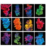 Тетради предметные, КОМПЛЕКТ 12 ПРЕДМЕТОВ, PIGMENT, 48л, глянцевая ламинация, BRAUBERG, 404834
