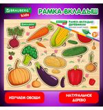 Рамка-вкладыш деревянная развивающая "Овощи", 22х30 см., BRAUBERG KIDS, код 1С