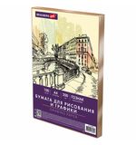 Бумага для рисования и графики А4 100 л., 200 г/м2 ВАТМАН ГОЗНАК, в коробке, BRAUBERG ART CLASSIC, 116890