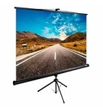 Экран Cactus TriExpert CS-PSTE-160x160-BK, 160x160 см, 1:1, напольный, черный