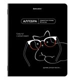 Тетрадь предметная МЕМЫ 48л, TWIN лак, АЛГЕБРА, клетка, подсказ, BRAUBERG, 405096