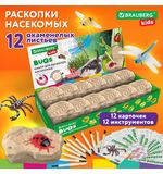 РЕЗЕРВ Набор для раскопок 2