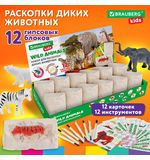 РЕЗЕРВ Набор для раскопок 3