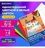Набор картона БЕЛЫЙ+ЦВЕТНОЙ А4 мелованный, 10л. (белый 4л + цветной 6л), в папке, BRA, 116630