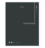 Папка-портфолио универсальная, 4 кольца, 20 файлов, 7БЦ матовая, BRAUBERG "Minimalism", 117553