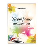 Листы-вкладыши для портфолио ШКОЛЬНИКА, 30 разделов, 32 листа, "Моё портфолио", BRAUBERG, 127550
