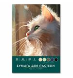 Бумага для пастели БОЛЬШАЯ А3 в папке, 20 листов, 5 цветов, 180 г/м2, BRAUBERG ART CLASSIC, 116346