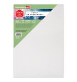 Холст на подрамнике BRAUBERG ART BASIC, 20х30 см, 280 г/м2, хлопок, мелкое зерно, грунт, 192665