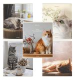 Тетради ДЭК А5 48 л. КОМПЛЕКТ 5 шт. BRAUBERG, скоба, клетка, матовая ламинация, "Cats", 404673