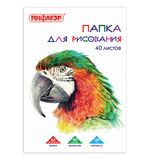 Папка для рисования, А3, 297х420 мм, 40 л., ПИФАГОР, внутренний блок 120 г/м2, 129219