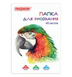 Папка для рисования, А4, 210х297 мм, 40 л., ПИФАГОР, внутренний блок 120 г/м2, 129222