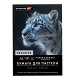 Бумага для пастели АБРАЗИВНАЯ А3 в папке, 15 листов, ЧЕРНАЯ, 240 г/м2, BRAUBERG ART, 117766