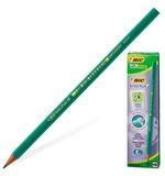 Карандаш чернографитный BIC, 1 шт., "Evolution", HB, пластиковый, без резинки, корпус зеленый, заточенный, 650 НВ