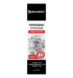 Карандаши угольные BRAUBERG "ART", набор 12 шт., 3 вида (soft, medium, hard) по 4 шт., заточенные, 181293