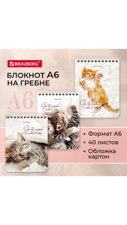 Блокнот МАЛЫЙ ФОРМАТ 108х145мм, А6, 40л, гребень, картон, клетка, BRAUBERG, "Котики", 114391
