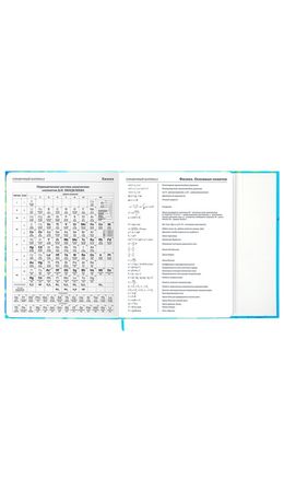 Дневник 1-11 класс 48 л., твердый, BRAUBERG, матовая ламинация, магнитный клапан, закладка-ляссе, с подсказом, "Котик", 107244