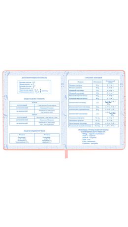 Дневник для музыкальной школы 48 л., обложка кожзам твердая, фольга, BRAUBERG, НОТКИ, 107368