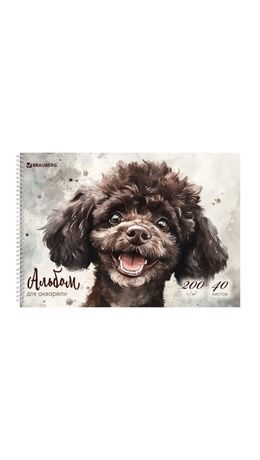 Альбом для акварели А4 40 л., бумага 200 г/м2, гребень, твердая подложка, BRAUBERG, "Пудель", 116885