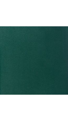 Ежедневник BRAUBERG недатированный, А5, 138х213 мм, "Select", под зернистую кожу, 160 л., зеленый, 123431