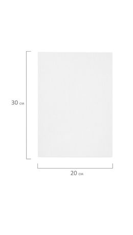 Холсты на картоне НАБОР 5 штук (20х30 см), хлопок, 280 г/м2, грунт, BRAUBERG ART CLASSIC, 192651