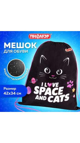 Мешок для обуви ПИФАГОР, 1 отделение, 42х34 см, "Dark kitten", 273419