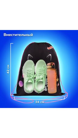 Мешок для обуви ПИФАГОР, 1 отделение, 42х34 см, "Dark kitten", 273419