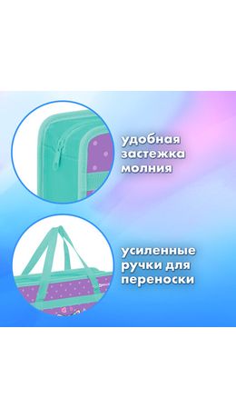 Папка на молнии с ручками BRAUBERG А4, 1 отделение, пластик, 80 мм, "Funny kittens", 273368