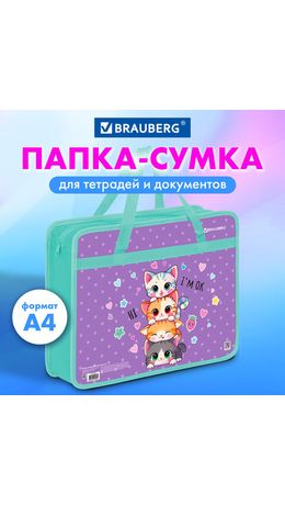 Папка на молнии с ручками BRAUBERG А4, 1 отделение, пластик, 80 мм, "Funny kittens", 273368