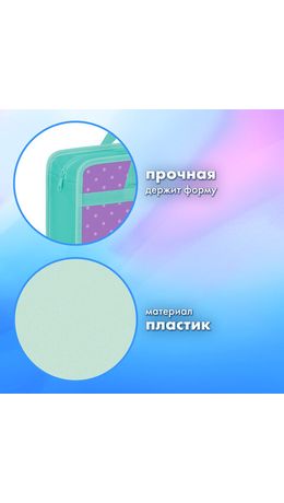 Папка на молнии с ручками BRAUBERG А4, 1 отделение, пластик, 80 мм, "Funny kittens", 273368