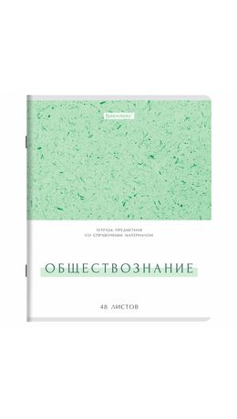 Тетради предметные, КОМПЛЕКТ 12 ПРЕДМЕТОВ, 48 л., обложка картон, BRAUBERG "HARMONY", 405167