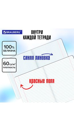 Тетради предметные, КОМПЛЕКТ 12 ПРЕДМЕТОВ, 48 л., обложка картон, BRAUBERG "HARMONY", 405167
