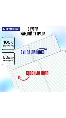 Тетради предметные, КОМПЛЕКТ 12 ПРЕДМЕТОВ, 48 л., TWIN лак, BRAUBERG "МЕМЫ", 405172