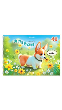 Альбомы д/рис. ДЭК, А4, 40 л., КОМПЛЕКТ 2 шт., гребень, глянцевый лак, BRAUBERG, 200х290 мм, "Корги", 107739