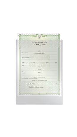 Папка-файл для свидетельства о рождении, 190х263 мм, без отверстий, 0,12 мм, "ДПС", 1746